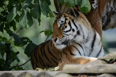 DSC_0755.JPG