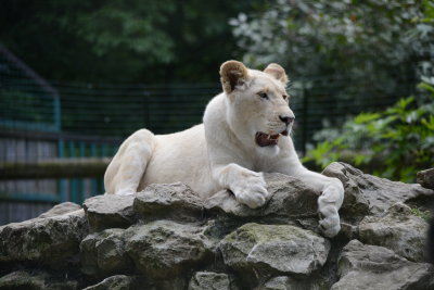 DSC_0814.JPG