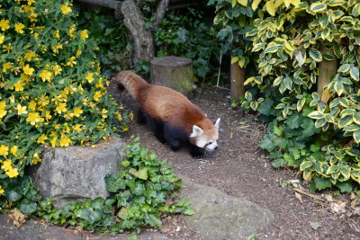 DSC_0961.JPG