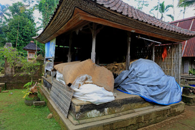 Balinese outbuilding 1.jpg