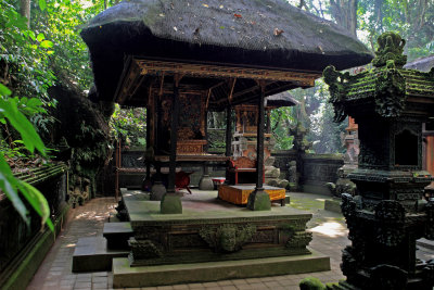 Monkey Forest Bali 2.jpg