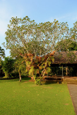 Taman Ayun Temple in Mengwi 6.jpg