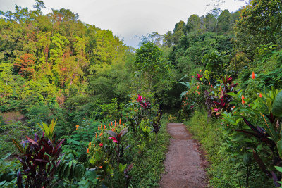 Gitgit Falls path.pb.jpg