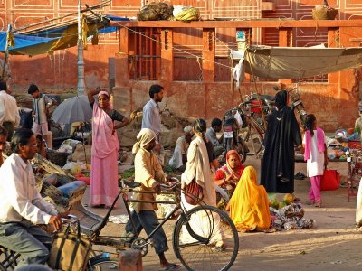 Jaipur. Street Scene.pb.jpg