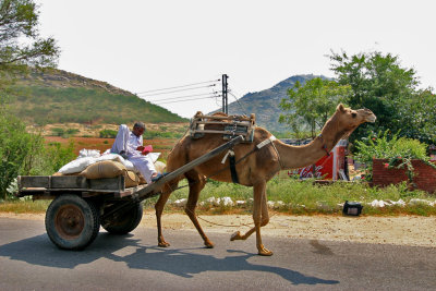 Delhi-Out about.8.jpg