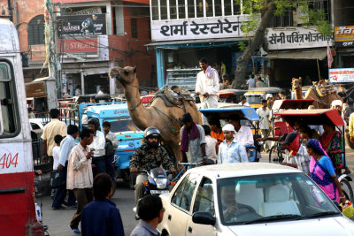 Jaipur.6.pb.jpg