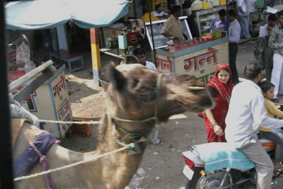 Delhi-Out about.5.jpg