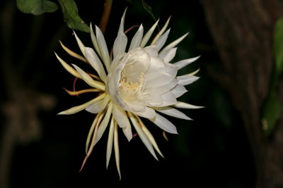 HG197_00222.1200x.JPG