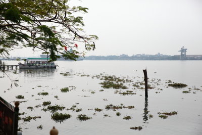 Fort Cochin42.JPG