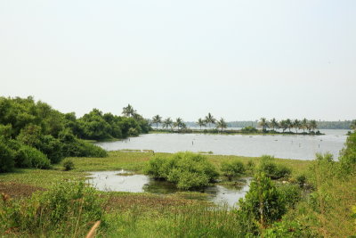 Fort Cochin54.JPG