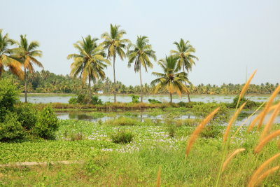 Fort Cochin55.JPG