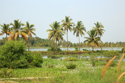 Fort Cochin56.JPG