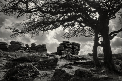 Dartmoor  4.jpg