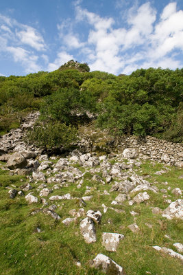 Nant-y-gwyrddail