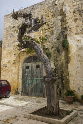 Mdina