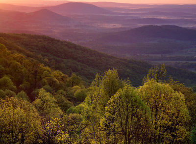 Sunrise over hill country