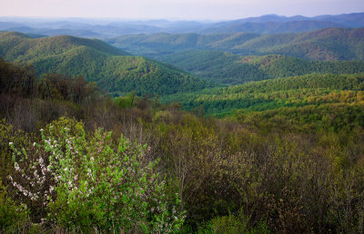 Spring valleys