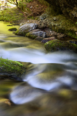 Waters of spring