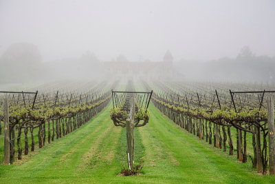 Horton Vineyards