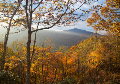 Mt. Pisgah thru the gold