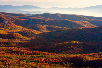 Deep reds in the valley