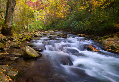 Autumn on the Oconaluftee