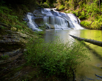 Panther Creek Falls #1 