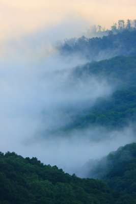 Clouds in Cloudland Canyon