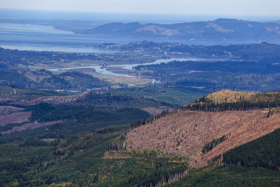 Saddle Mountain overlook