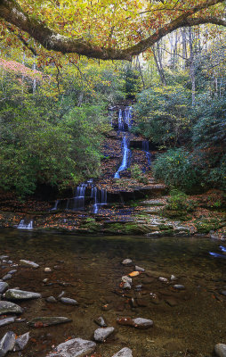 Bryson City foliage