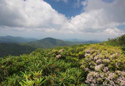 Craggy Gardens