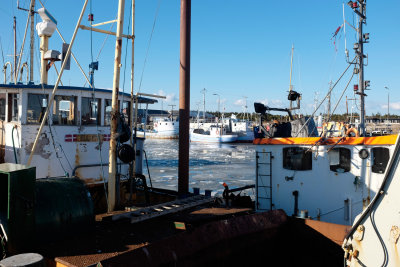 Fishing boats, Agger harbour.