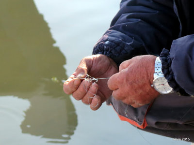 Manos de pescador