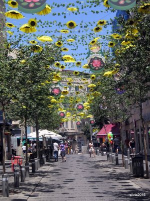 Girasoles