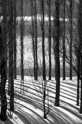 2008-Dizin - Velayatrood Valley