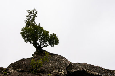 2012-Standing alone on the rocks