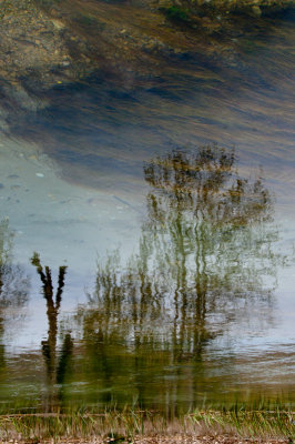 2011-Reflection