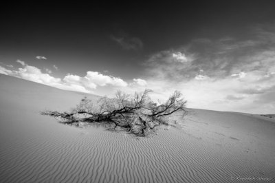 2013- Rig-e-Jen desert