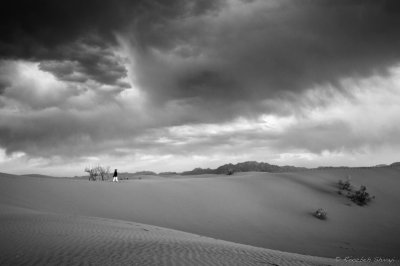 2013- Rig-e-Jen desert