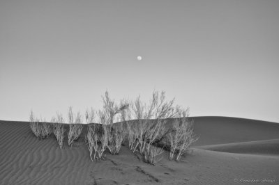 2013-Rig-e-Jen desert
