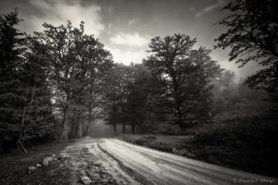 111-2013-Mazichal, Mazandaran