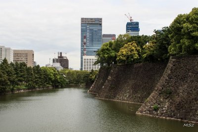 Imperial Palace East Garden