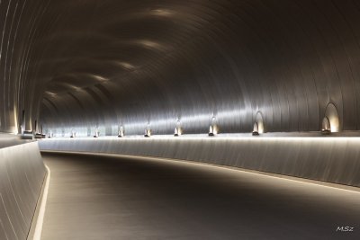 Miho Museum