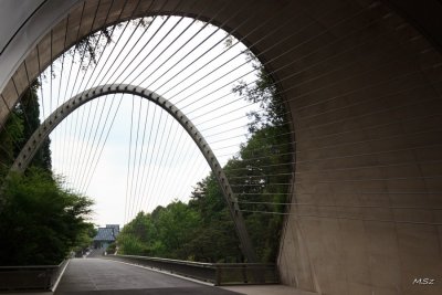 Miho Museum