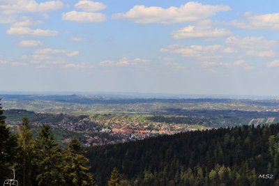 IMG_8238.jpg