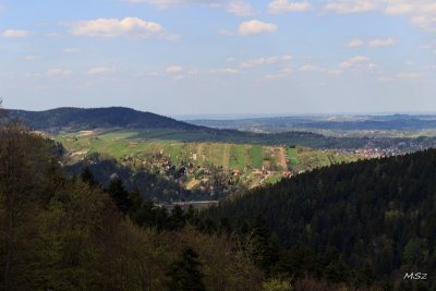 IMG_8245.jpg