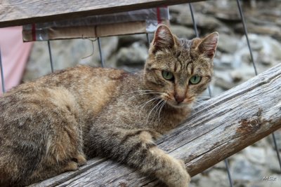 Castiglione di Garfagnana