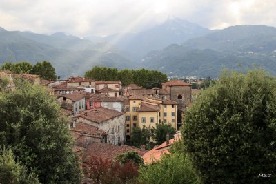 Barga