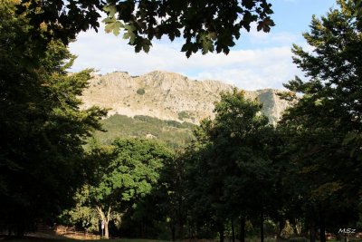 Parco dell'Orecchiella