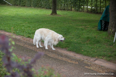 DSC_1189.jpg